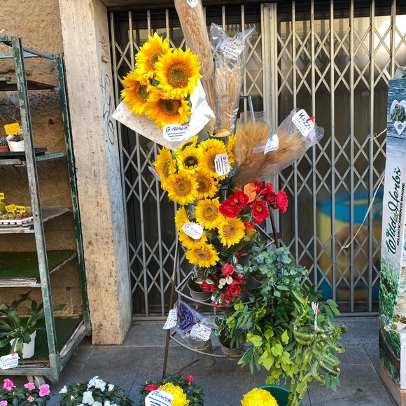 Meet your Posher, Kelly - Picture 2 of 6